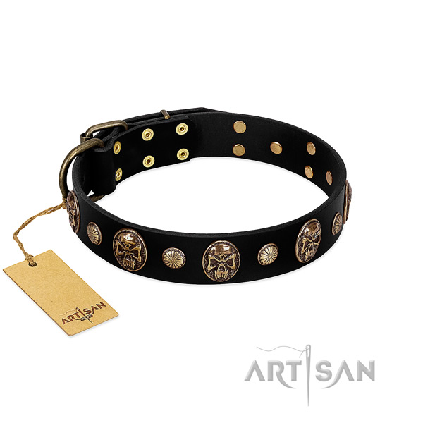 Full grain leather dog collar with strong adornments