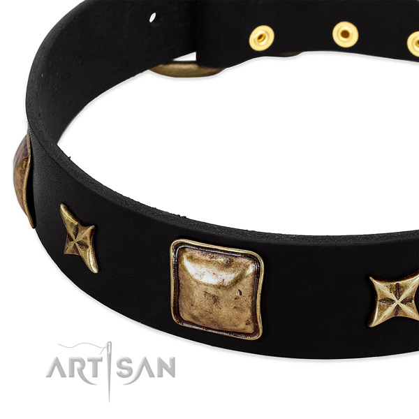 Natural leather dog collar with incredible adornments
