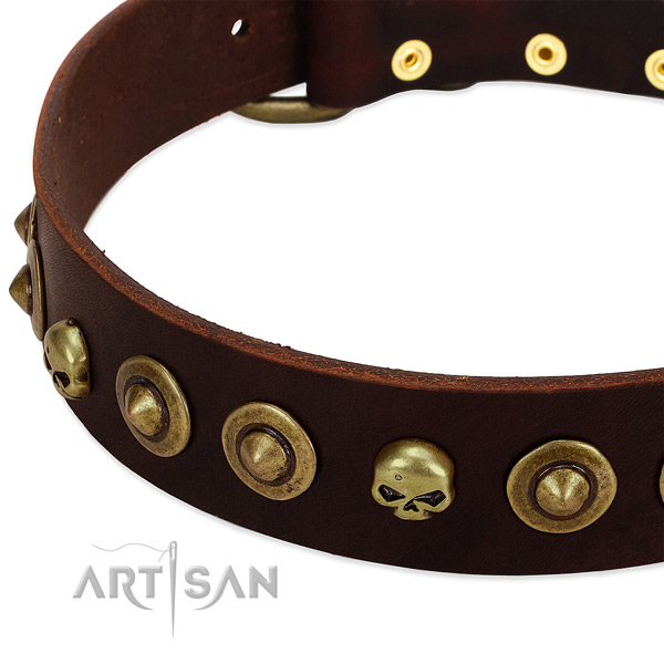 Fashionable embellishments on full grain genuine leather collar for your four-legged friend