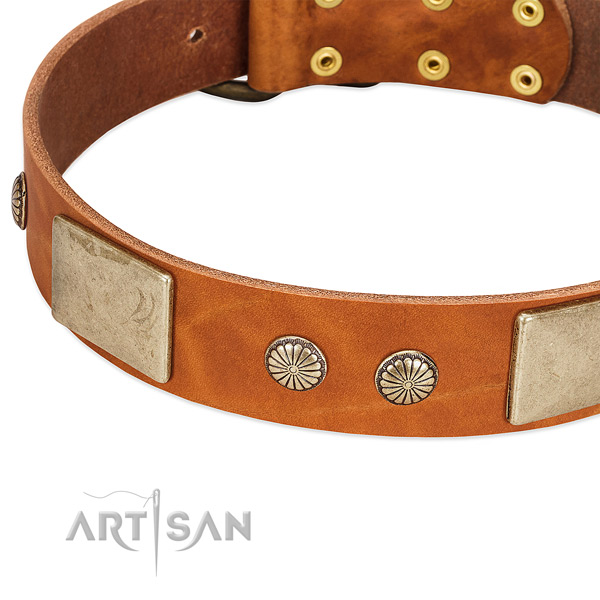 Durable fittings on full grain leather dog collar for your doggie