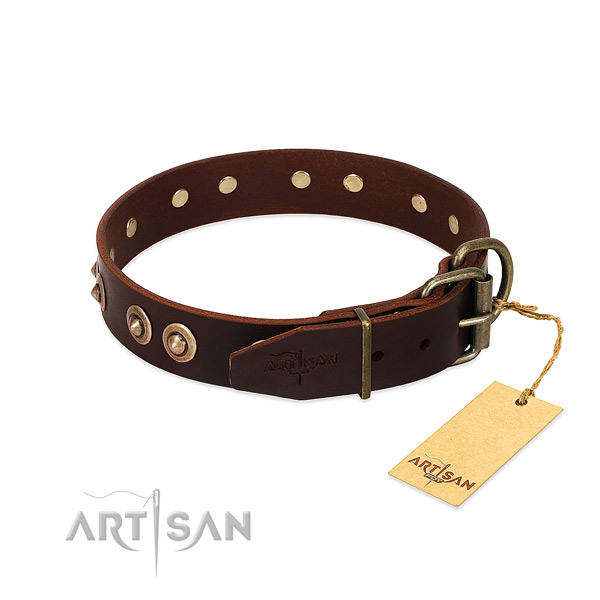 Strong embellishments on full grain natural leather dog collar for your dog