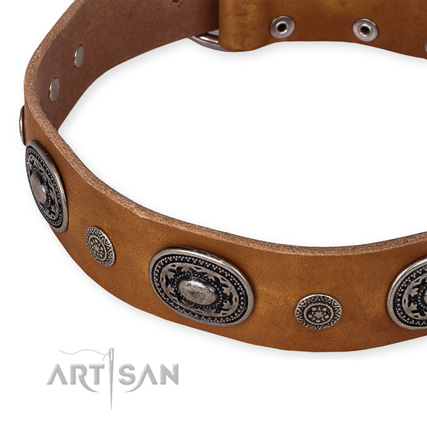 Top rate full grain leather dog collar created for your lovely dog