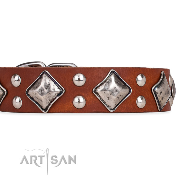 Natural leather dog collar with unusual durable embellishments