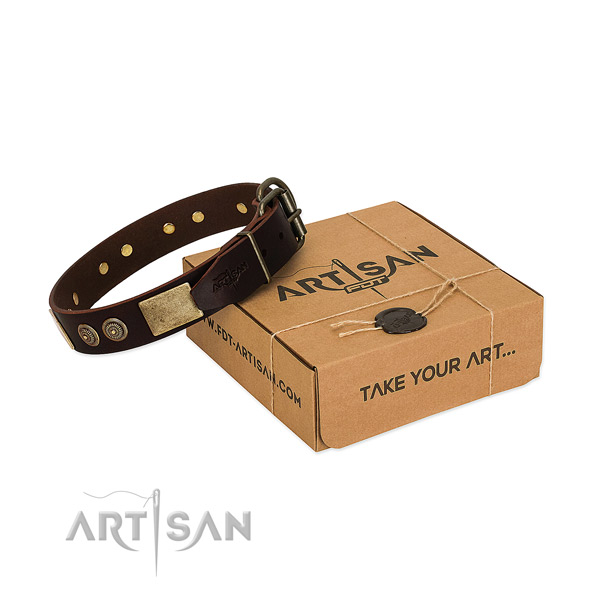 Rust resistant embellishments on full grain leather dog collar for your canine