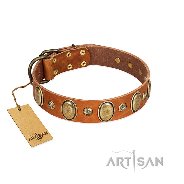 Leather dog collar of reliable material with stylish embellishments
