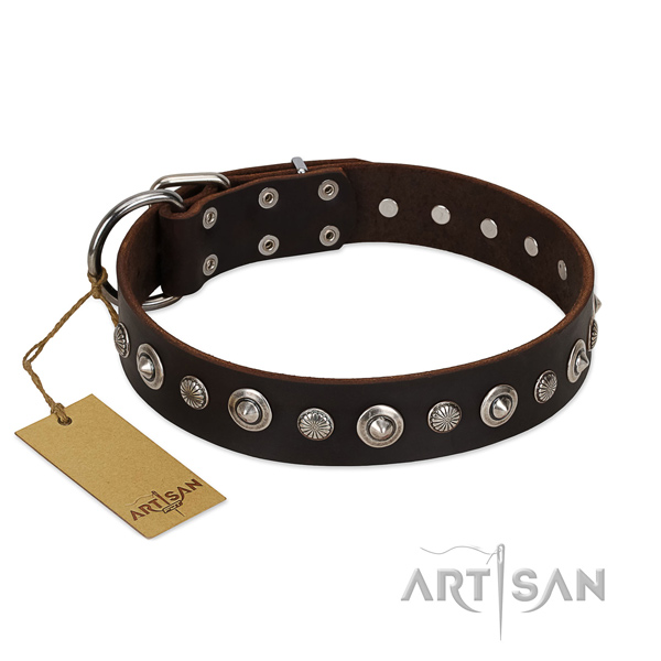 High quality genuine leather dog collar with stunning studs