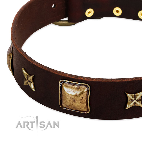 Rust-proof fittings on full grain leather dog collar for your four-legged friend