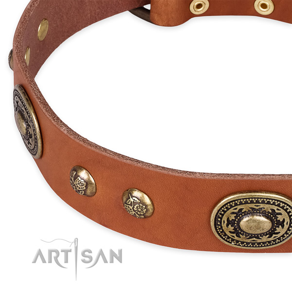 Incredible full grain leather collar for your handsome pet