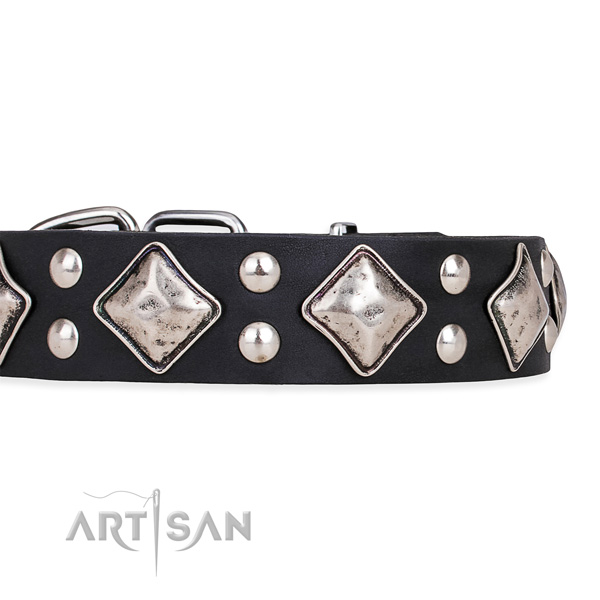 Full grain natural leather dog collar with extraordinary reliable adornments