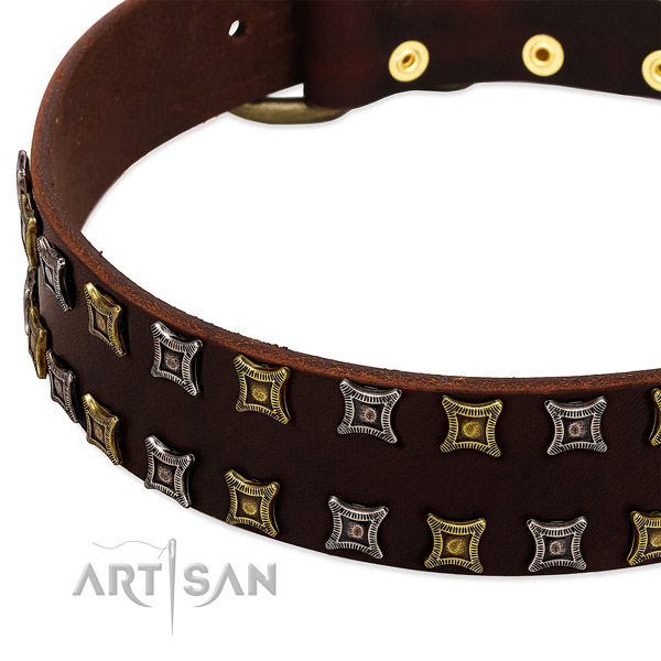 Durable leather dog collar for your handsome dog