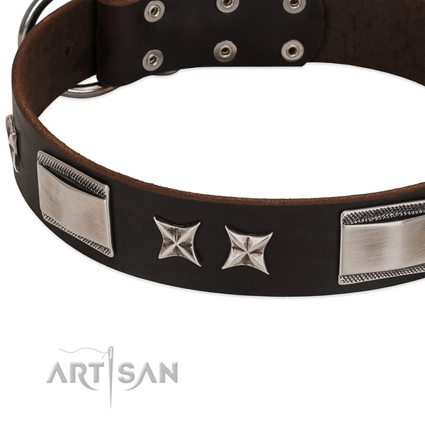 Embellished collar of full grain leather for your handsome doggie