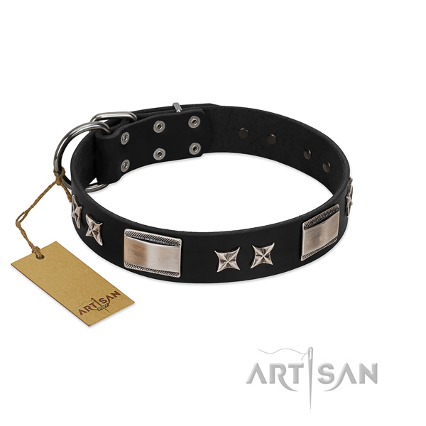 Significant dog collar of full grain natural leather