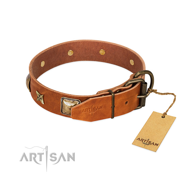 Genuine leather dog collar with durable hardware and studs