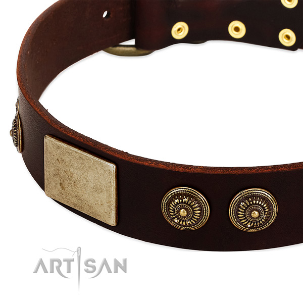 Strong fittings on genuine leather dog collar for your four-legged friend