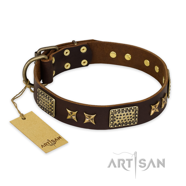 Fashionable leather dog collar with rust resistant buckle