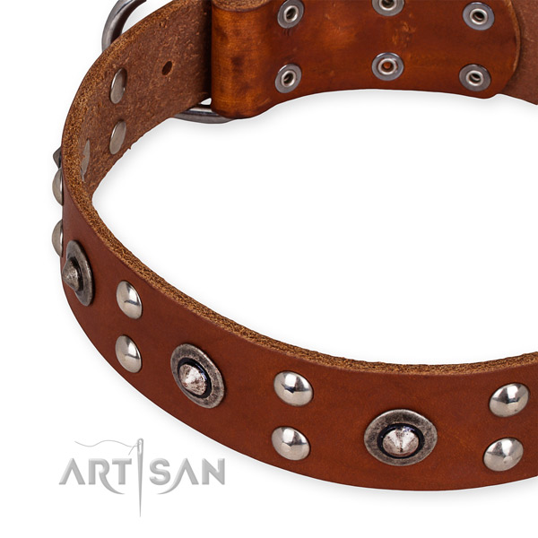 Genuine leather collar with corrosion resistant buckle for your handsome doggie