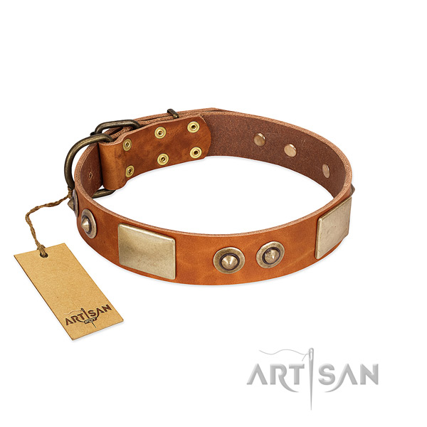 Easy to adjust natural genuine leather dog collar for walking your canine