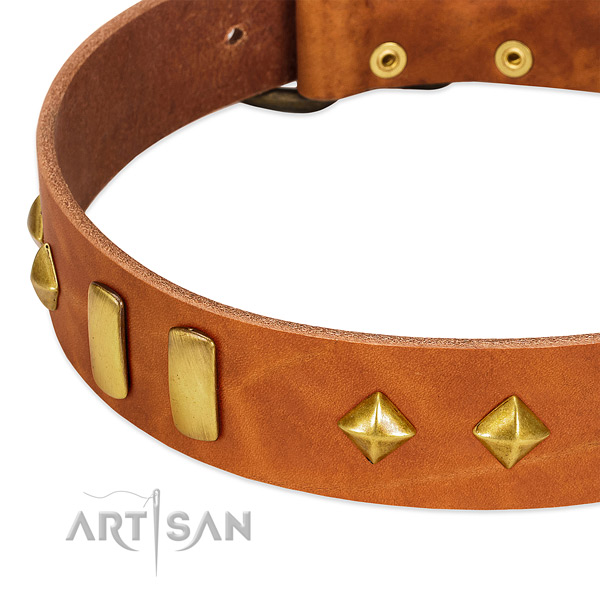 Daily use full grain genuine leather dog collar with stylish studs