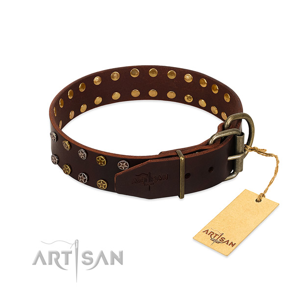 Walking leather dog collar with extraordinary decorations