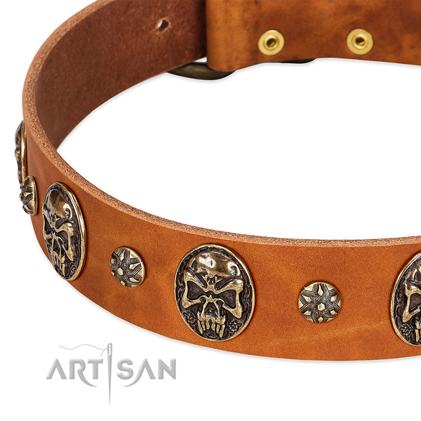 Durable hardware on full grain genuine leather dog collar for your four-legged friend