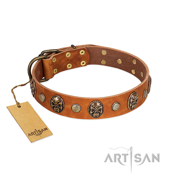 Extraordinary leather dog collar for easy wearing