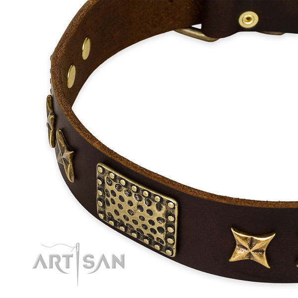 Full grain genuine leather collar with rust resistant traditional buckle for your attractive pet
