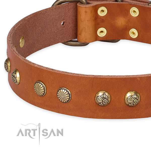 Full grain genuine leather collar with reliable fittings for your lovely pet