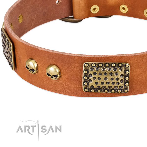 Corrosion proof embellishments on full grain leather dog collar for your four-legged friend