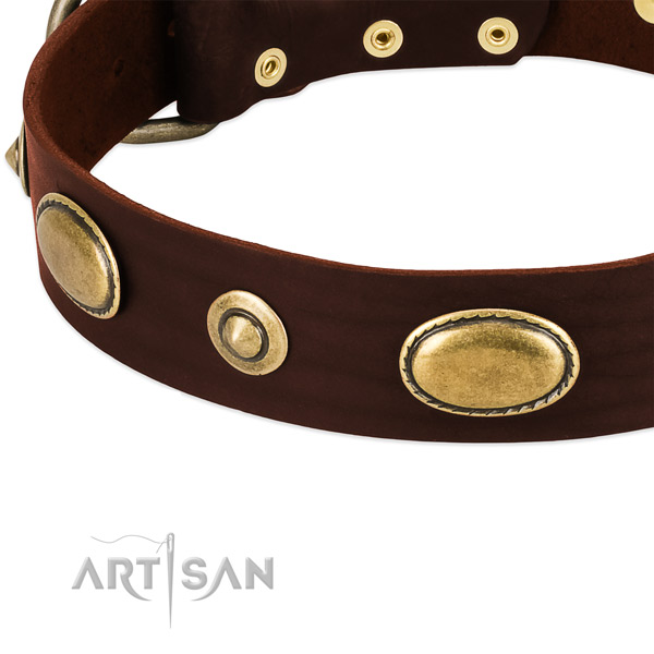 Reliable traditional buckle on full grain genuine leather dog collar for your canine