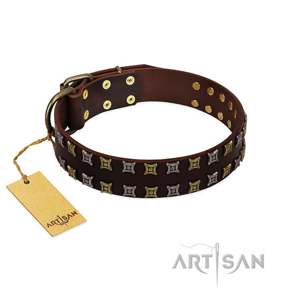 Top notch full grain natural leather dog collar with adornments for your four-legged friend