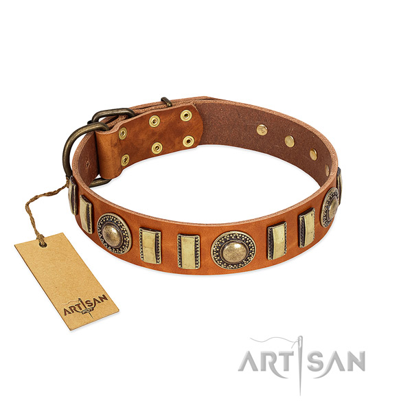Unusual full grain leather dog collar with strong buckle