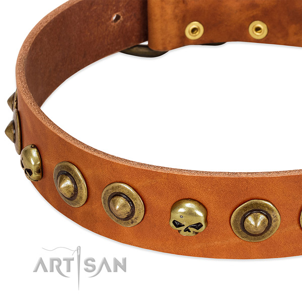 Awesome embellishments on full grain natural leather collar for your four-legged friend