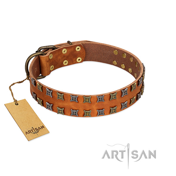 Reliable full grain leather dog collar with embellishments for your canine