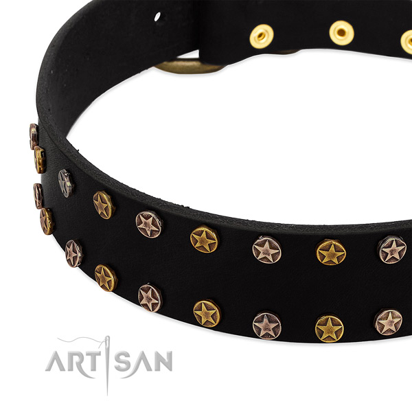 Awesome embellishments on full grain natural leather collar for your doggie