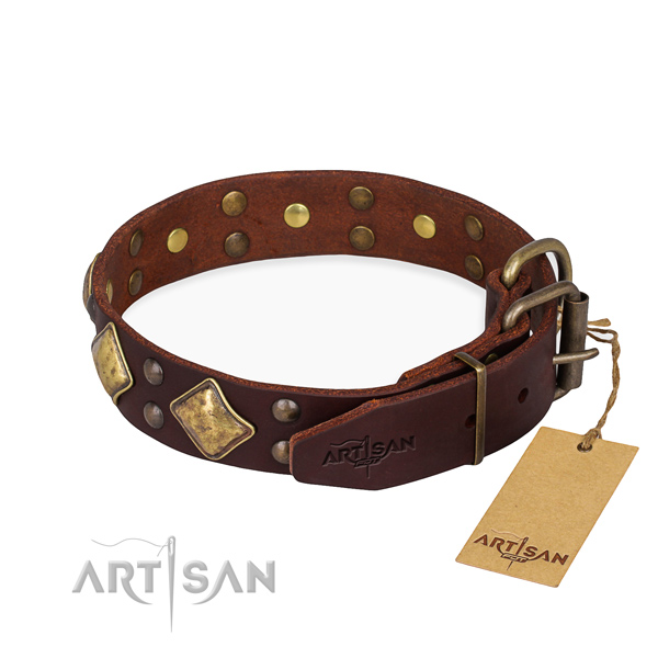 Genuine leather dog collar with trendy corrosion proof studs