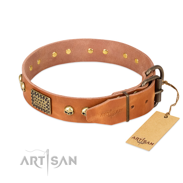 Corrosion resistant D-ring on stylish walking dog collar