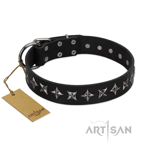 Easy wearing dog collar of top quality full grain leather with adornments