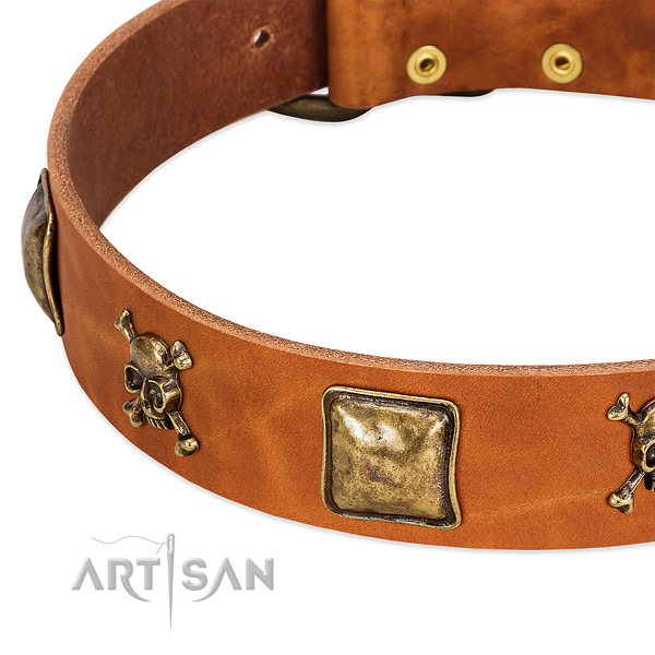 Fashionable leather dog collar with corrosion resistant embellishments