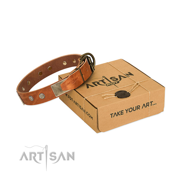 Rust resistant D-ring on dog collar for basic training