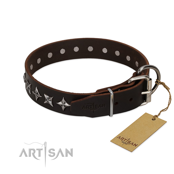 Everyday use studded dog collar of reliable genuine leather