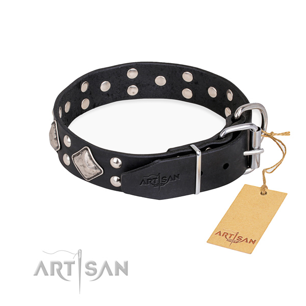 Full grain natural leather dog collar with stylish reliable adornments