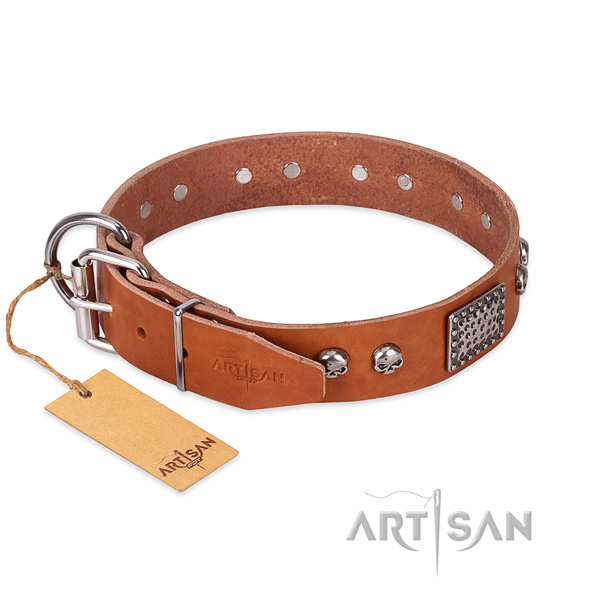 Rust resistant buckle on walking dog collar