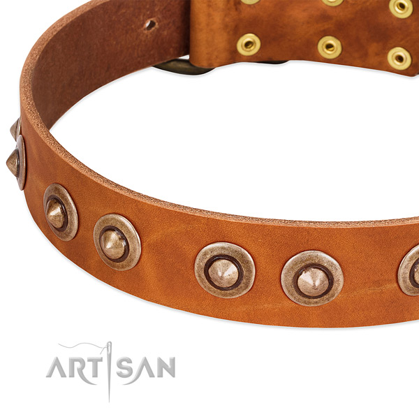 Durable buckle on full grain genuine leather dog collar for your doggie