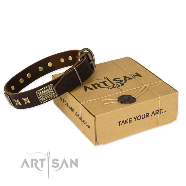 Corrosion resistant buckle on leather collar for your attractive doggie