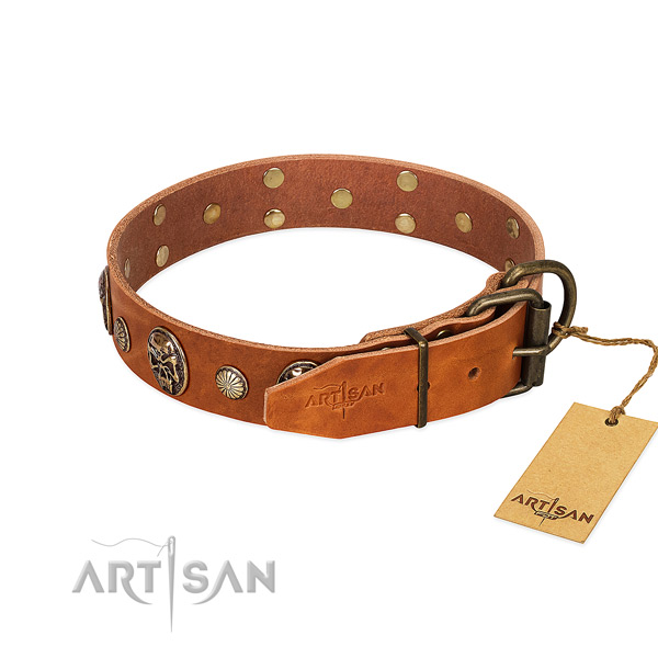 Durable fittings on leather collar for walking your doggie