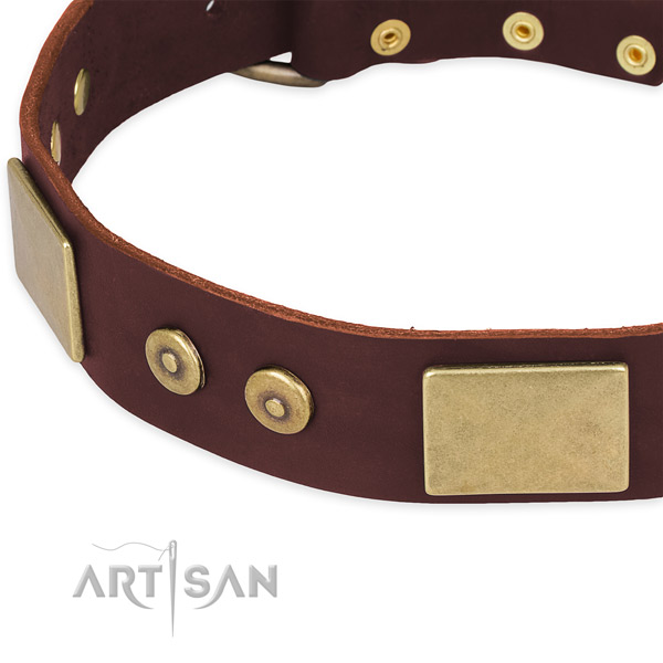 Leather dog collar with adornments for daily use