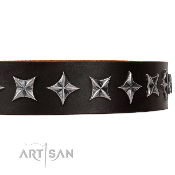 Fancy walking embellished dog collar of high quality natural leather