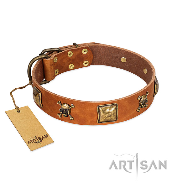 Awesome full grain leather dog collar with reliable decorations