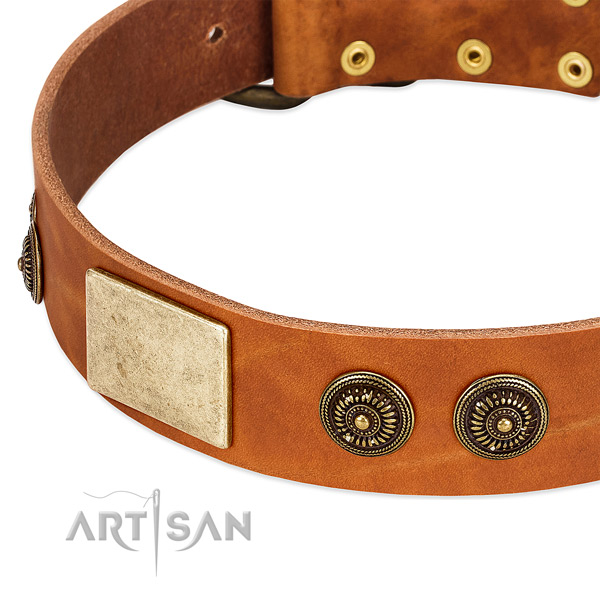 Fashionable dog collar crafted for your lovely pet