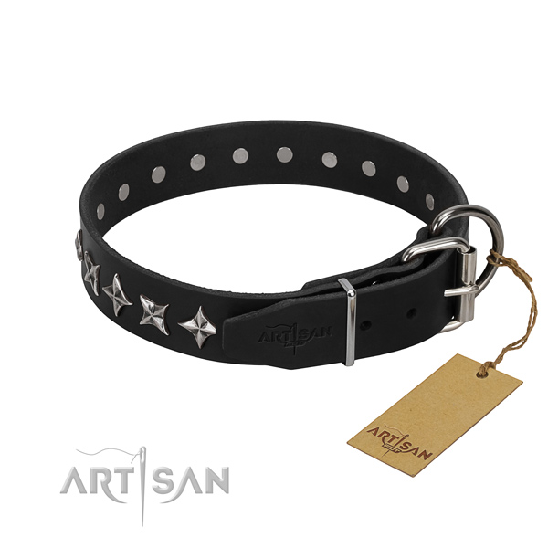 Comfortable wearing adorned dog collar of reliable full grain natural leather